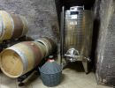 cantina clerico