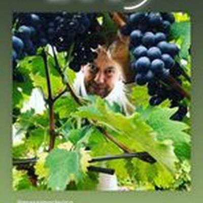 in vigna