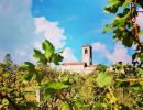 in vigna