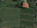 vigna leria